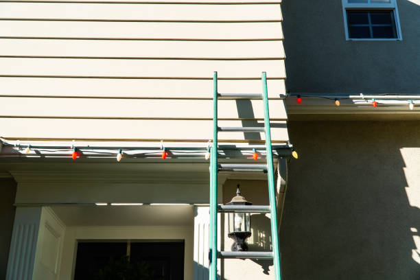Best Stone Veneer Siding  in North Fond Du Lac, WI