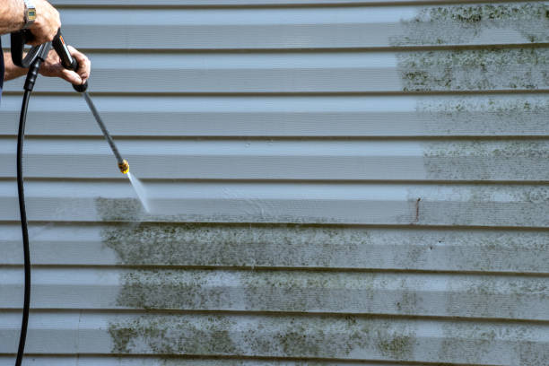 Best Custom Siding Design  in North Fond Du Lac, WI