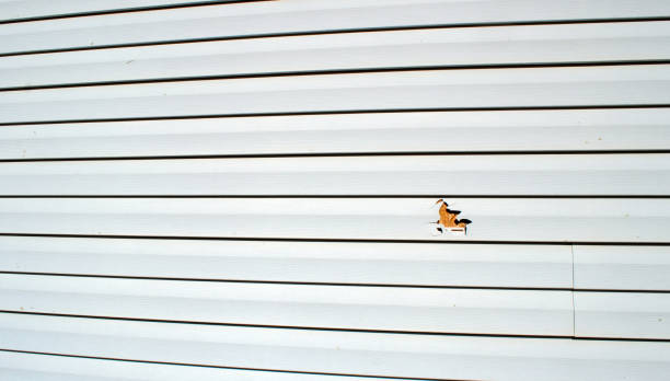 Best Storm Damage Siding Repair  in North Fond Du Lac, WI