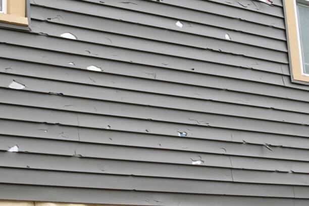 Best Fascia and Soffit Installation  in North Fond Du Lac, WI